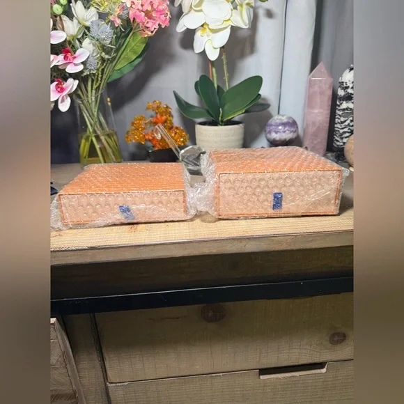 Louis Vuitton Orange Storage Bags